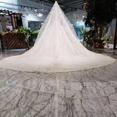 LS20479 Simple vintage Wedding Dress with wedding veil full sleeve button back o neck champagne bridal lace dress wedding gown