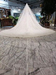 LS20479 Simple vintage Wedding Dress with wedding veil full sleeve button back o neck champagne bridal lace dress wedding gown