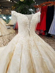 AOLANES 2018 Champagne Lace Sleeveless Bridal Gowns Long Train Lace Up Ball Gown Vintage Wedding Dresses Vestido De Noiva