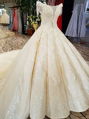 AOLANES 2018 Champagne Lace Sleeveless Bridal Gowns Long Train Lace Up Ball Gown Vintage Wedding Dresses Vestido De Noiva