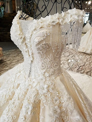AOLANES 2018 Champagne Lace Sleeveless Bridal Gowns Long Train Lace Up Ball Gown Vintage Wedding Dresses Vestido De Noiva