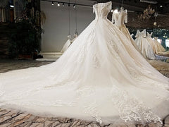 AOLANES 2018 Champagne Lace Sleeveless Bridal Gowns Long Train Lace Up Ball Gown Vintage Wedding Dresses Vestido De Noiva