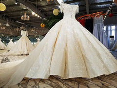 AOLANES 2018 Champagne Lace Sleeveless Bridal Gowns Long Train Lace Up Ball Gown Vintage Wedding Dresses Vestido De Noiva