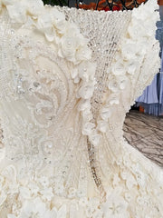 AOLANES 2018 Champagne Lace Sleeveless Bridal Gowns Long Train Lace Up Ball Gown Vintage Wedding Dresses Vestido De Noiva