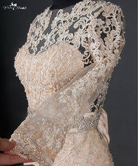 RSW817 See Through Back Long Sleeve Mermaid Venice Lace Champagne Wedding Dress